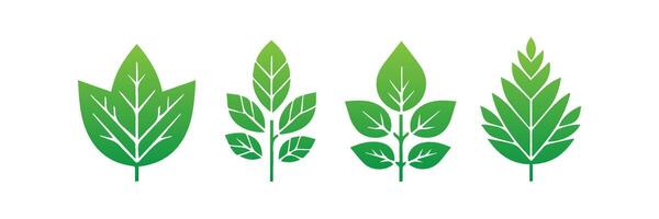 Green leaf icons set. Leaves icon on isolated background. Collection green leaf. Elements design for natural, eco, vegan, bio labels vector
