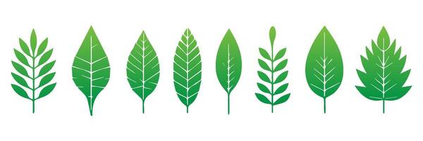 Green leaf icons set. Leaves icon on isolated background. Collection green leaf. Elements design for natural, eco, vegan, bio labels vector