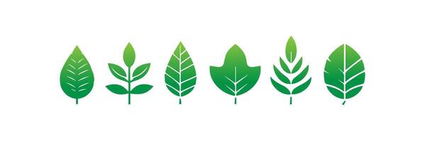 Green leaf icons set. Leaves icon on isolated background. Collection green leaf. Elements design for natural, eco, vegan, bio labels vector