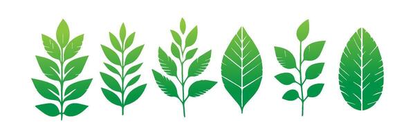Green leaf icons set. Leaves icon on isolated background. Collection green leaf. Elements design for natural, eco, vegan, bio labels vector