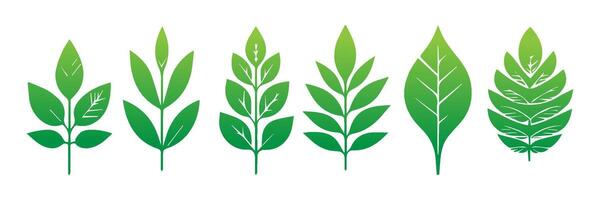 Green leaf icons set. Leaves icon on isolated background. Collection green leaf. Elements design for natural, eco, vegan, bio labels vector