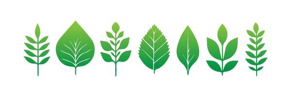 Green leaf icons set. Leaves icon on isolated background. Collection green leaf. Elements design for natural, eco, vegan, bio labels vector