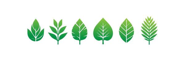 Green leaf icons set. Leaves icon on isolated background. Collection green leaf. Elements design for natural, eco, vegan, bio labels vector