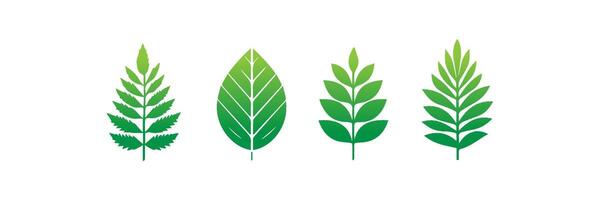 Green leaf icons set. Leaves icon on isolated background. Collection green leaf. Elements design for natural, eco, vegan, bio labels vector
