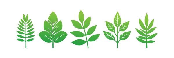 Green leaf icons set. Leaves icon on isolated background. Collection green leaf. Elements design for natural, eco, vegan, bio labels vector