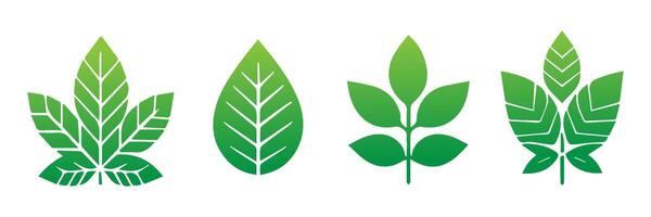 Green leaf icons set. Leaves icon on isolated background. Collection green leaf. Elements design for natural, eco, vegan, bio labels vector