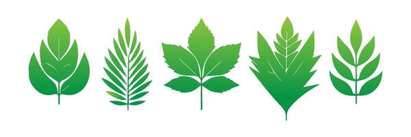 Green leaf icons set. Leaves icon on isolated background. Collection green leaf. Elements design for natural, eco, vegan, bio labels vector