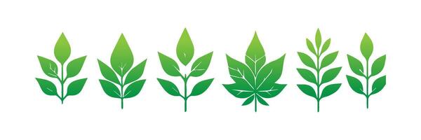Green leaf icons set. Leaves icon on isolated background. Collection green leaf. Elements design for natural, eco, vegan, bio labels vector