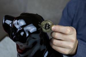 Man hand puts physical version of golden bitcoin into piggy bank, savings in cryptocurrency and investments in the future photo