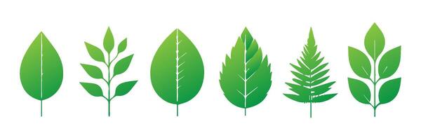 Green leaf icons set. Leaves icon on isolated background. Collection green leaf. Elements design for natural, eco, vegan, bio labels vector