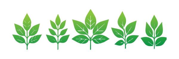 Green leaf icons set. Leaves icon on isolated background. Collection green leaf. Elements design for natural, eco, vegan, bio labels vector