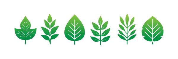 Green leaf icons set. Leaves icon on isolated background. Collection green leaf. Elements design for natural, eco, vegan, bio labels vector