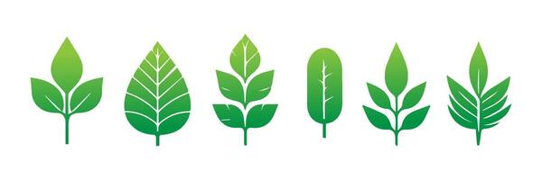Green leaf icons set. Leaves icon on isolated background. Collection green leaf. Elements design for natural, eco, vegan, bio labels vector