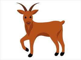 Goat Background Illustration for Qurban vector