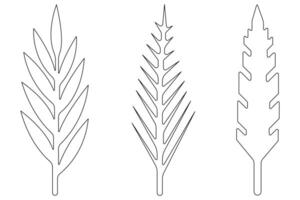 Palm tree continuous one line art drawing of isolated outline illustration vector