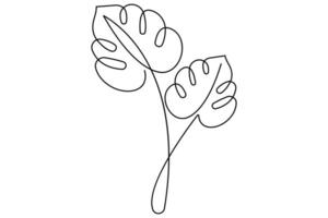 Monstera tree continuous one line art drawing of outline illustration vector
