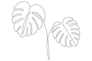 Monstera tree continuous one line art drawing of outline illustration vector