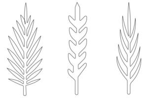 Palm tree continuous one line art drawing of isolated outline illustration vector