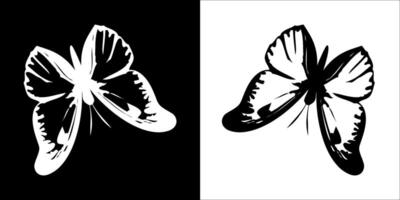 Illustration graphics of butterfly icon vector