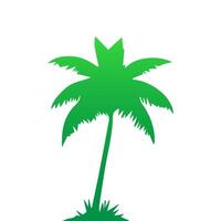 Green palm tree isolated on white background. Palm silhouette vector