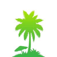 Green palm tree isolated on white background. Palm silhouette vector
