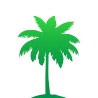 Green palm tree isolated on white background. Palm silhouette vector