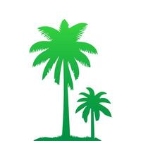 Green palm tree isolated on white background. Palm silhouette vector