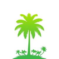 Green palm tree isolated on white background. Palm silhouette vector