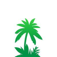 Green palm tree isolated on white background. Palm silhouette vector