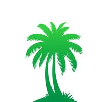 Green palm tree isolated on white background. Palm silhouette vector