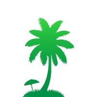 Green palm tree isolated on white background. Palm silhouette vector