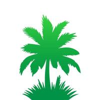 Green palm tree isolated on white background. Palm silhouette vector