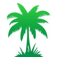 Green palm tree isolated on white background. Palm silhouette vector