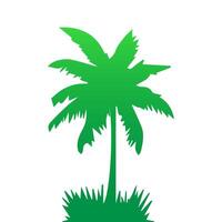 Green palm tree isolated on white background. Palm silhouette vector