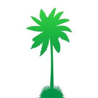 Green palm tree isolated on white background. Palm silhouette vector