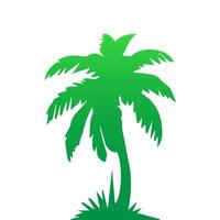 Green palm tree isolated on white background. Palm silhouette vector