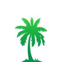 Green palm tree isolated on white background. Palm silhouette vector
