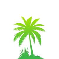 Green palm tree isolated on white background. Palm silhouette vector