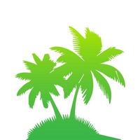 Green palm tree isolated on white background. Palm silhouette vector