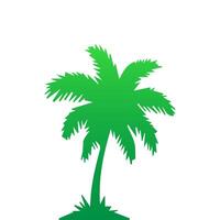 Green palm tree isolated on white background. Palm silhouette vector