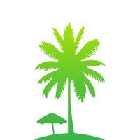 Green palm tree isolated on white background. Palm silhouette vector