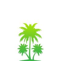 Green palm tree isolated on white background. Palm silhouette vector