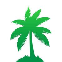Green palm tree isolated on white background. Palm silhouette vector