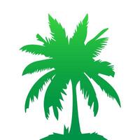 Green palm tree isolated on white background. Palm silhouette vector