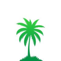 Green palm tree isolated on white background. Palm silhouette vector