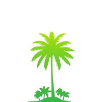 Green palm tree isolated on white background. Palm silhouette vector