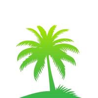 Green palm tree isolated on white background. Palm silhouette vector