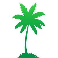 Green palm tree isolated on white background. Palm silhouette vector
