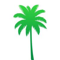 Green palm tree isolated on white background. Palm silhouette vector