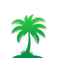 Green palm tree isolated on white background. Palm silhouette vector
